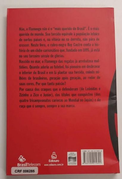 Flamengo, o Vermelho e o Negro (Coleção Camisa 13)